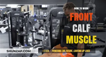 Effective Front Calf Muscle Workouts: Techniques for Strength and Definition