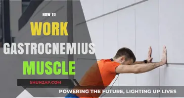 Effective Gastrocnemius Workouts: Targeting Your Calf Muscles for Strength and Tone