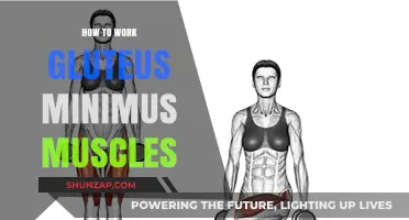 Effective Exercises to Strengthen and Activate Your Gluteus Minimus Muscles