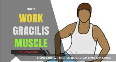 Effective Techniques to Strengthen and Tone Your Gracilis Muscle