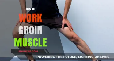 Effective Groin Muscle Workouts: Strengthen and Tone with These Tips