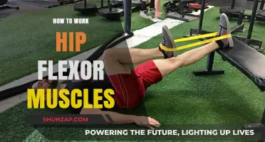 Effective Hip Flexor Exercises for Strength, Flexibility, and Mobility
