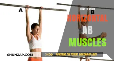 Sculpting Your Sides: Effective Techniques to Work Horizontal Ab Muscles