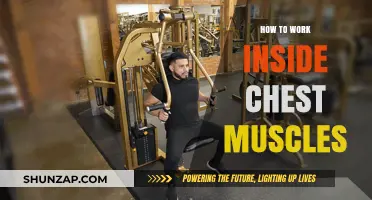 Effective Chest Muscle Workouts: Techniques to Target Inner Pecs