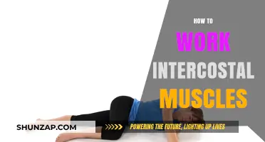 Strengthen Your Breathing: Effective Techniques to Work Intercostal Muscles