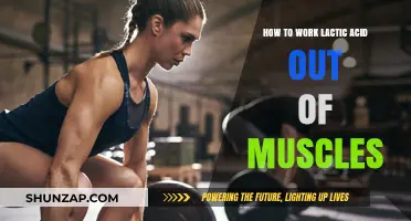 Effective Techniques to Flush Lactic Acid from Muscles Post-Workout
