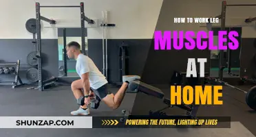 Effective Home Workouts to Strengthen and Tone Your Leg Muscles