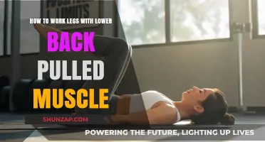 Safe Leg Workouts for Pulled Lower Back: Tips and Modifications