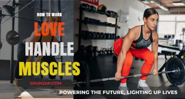 Effective Exercises to Tone and Strengthen Your Love Handle Muscles