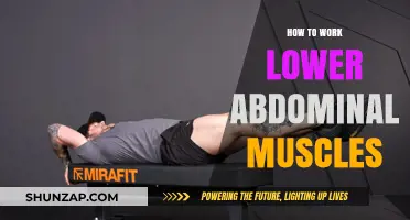 Effective Lower Ab Workouts: Sculpting Your Core with Targeted Exercises