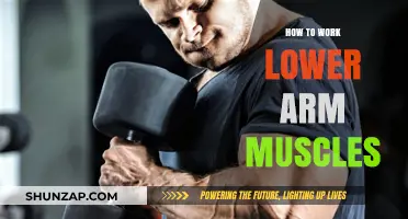 Effective Lower Arm Workouts: Strengthen and Tone Your Forearms Fast