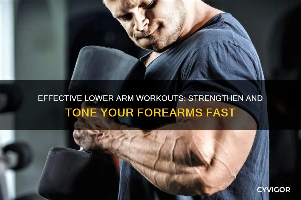 how to work lower arm muscles