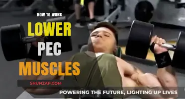 Sculpt Your Lower Chest: Effective Exercises for Targeting Lower Pec Muscles