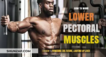 Sculpt Your Lower Pecs: Effective Exercises for a Defined Chest