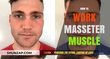 Effective Techniques to Strengthen and Relax Your Masseter Muscle