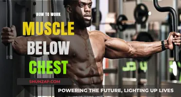 Sculpt Your Lower Pecs: Effective Exercises for Muscles Below Chest