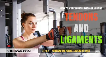 Safe Strength Training: Protect Tendons and Ligaments While Building Muscle