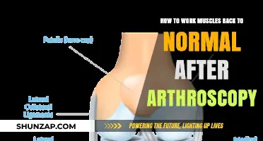 Recovering Strength: Post-Arthroscopy Muscle Rehabilitation Guide for Optimal Healing