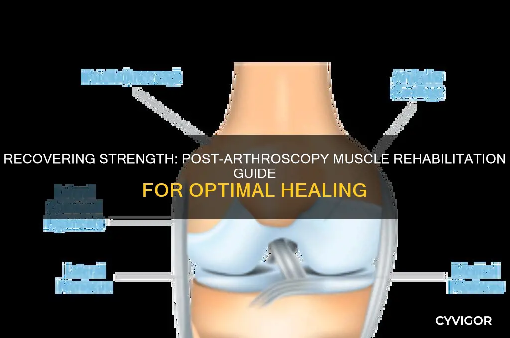 how to work muscles back to normal after arthroscopy