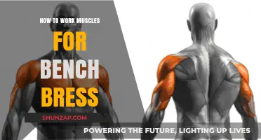 Master Bench Press: Target Muscles for Strength and Power