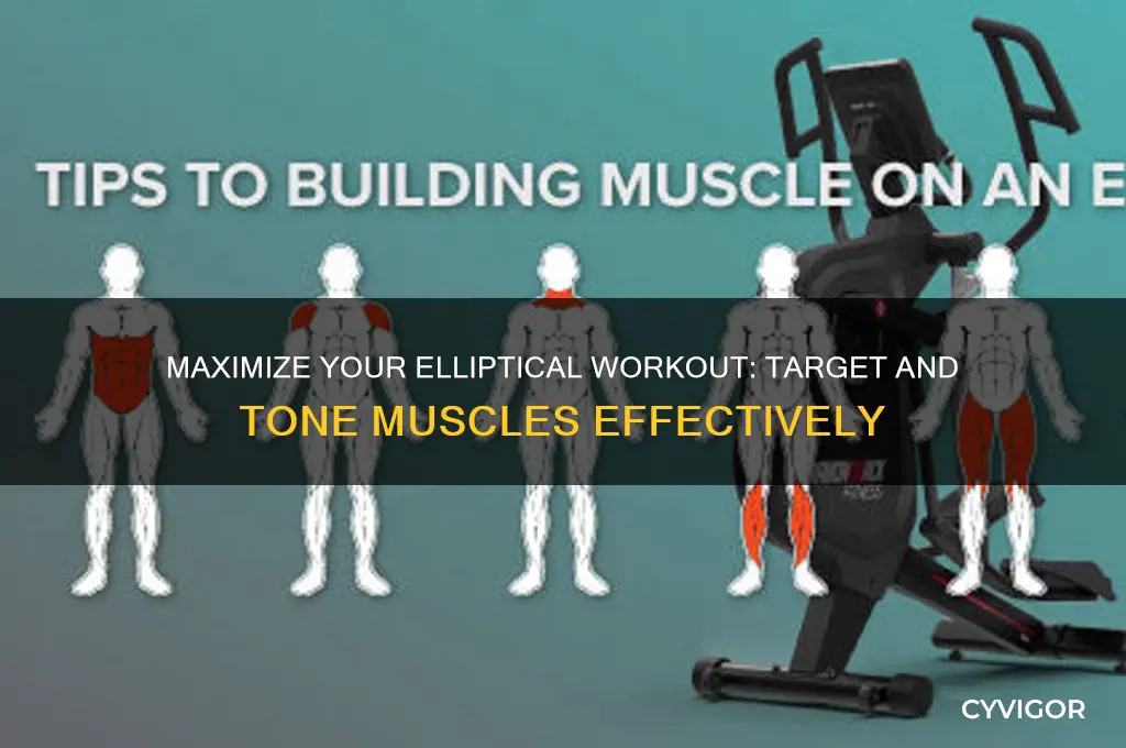 how to work muscles on eliptical machine