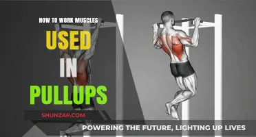 Master Pull-Up Muscles: Targeted Exercises for Strength and Control