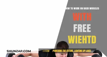Effective Free Weight Exercises to Strengthen and Sculpt Your Back Muscles