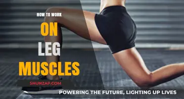 Effective Leg Muscle Workouts: Strengthen, Tone, and Build Power Fast