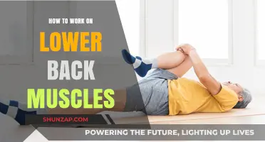 Strengthen Your Lower Back: Effective Exercises and Techniques to Try