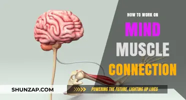 Master Mind-Muscle Connection: Techniques for Stronger, Smarter Workouts