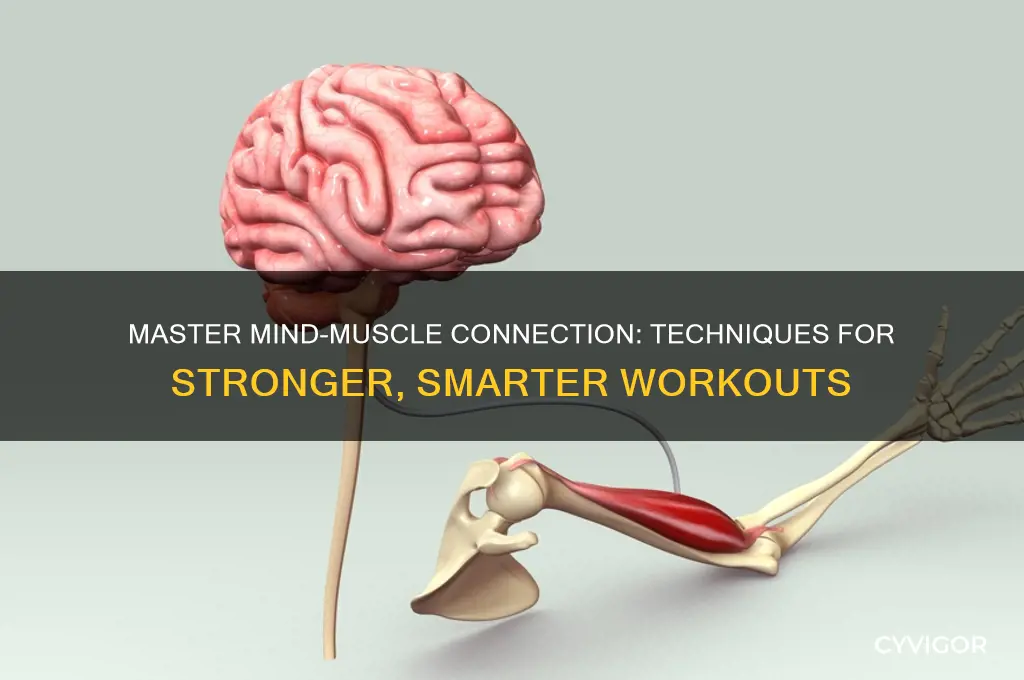 how to work on mind muscle connection