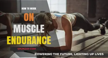 Boost Muscle Endurance: Effective Strategies for Lasting Strength and Stamina