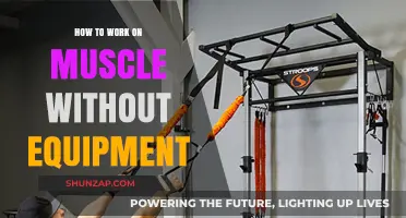 Build Strength Anywhere: Effective Muscle Workouts Without Equipment