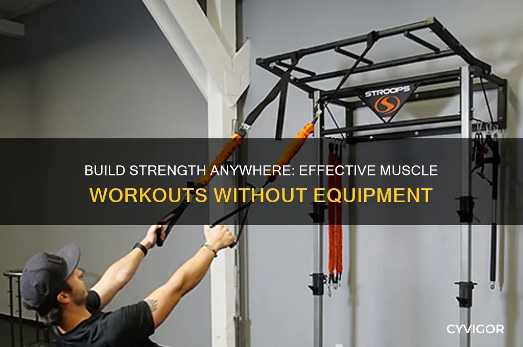 how to work on muscle without equipment