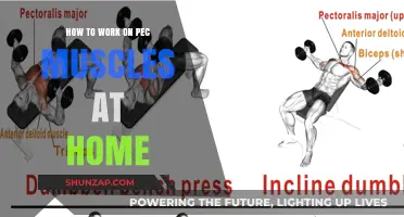 Effective Home Workouts to Strengthen Your Pec Muscles Easily