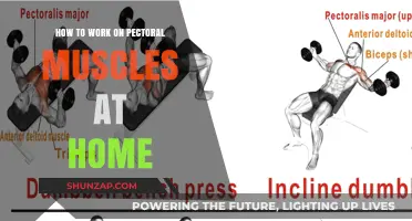 Effective Home Workouts to Build Stronger Pectoral Muscles Fast