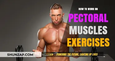 Effective Pectoral Muscle Workouts: Techniques and Tips for Chest Strength