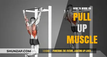 Mastering Pull-Ups: Targeted Muscle Training for Strength and Endurance