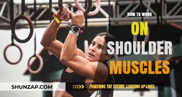 Effective Shoulder Workouts: Strengthen and Sculpt Your Deltoids Fast