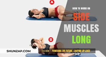 Effective Exercises to Strengthen and Tone Your Side Muscles
