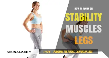 Strengthen Your Stability: Targeted Leg Muscle Exercises for Balance and Power