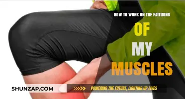Combat Muscle Fatigue: Effective Strategies for Recovery and Endurance