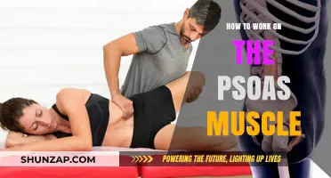 Unlocking Psoas Power: Effective Techniques to Strengthen and Release Tension