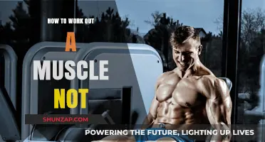 Mastering Muscle Isolation: Effective Techniques to Target Specific Muscles