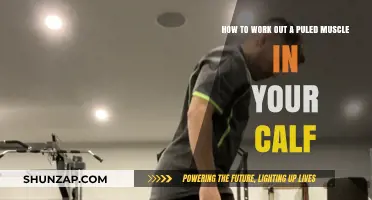 Effective Calf Pulled Muscle Workouts: Safe Recovery and Strengthening Tips