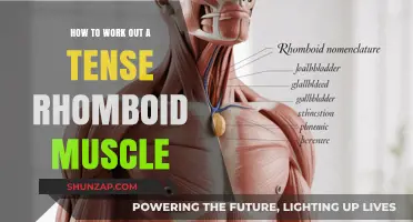 Effective Techniques to Relieve and Strengthen a Tense Rhomboid Muscle