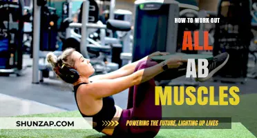 Effective Ab Workouts: Targeting All Core Muscles for Maximum Results