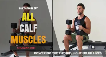 Effective Calf Workout: Targeting All Muscles for Strength and Definition