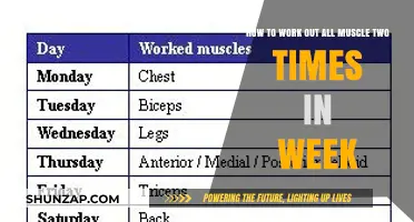 Efficient Full-Body Workouts: Train Every Muscle Twice Weekly