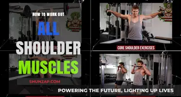 Effective Shoulder Workout: Targeting All Muscles for Strength and Definition